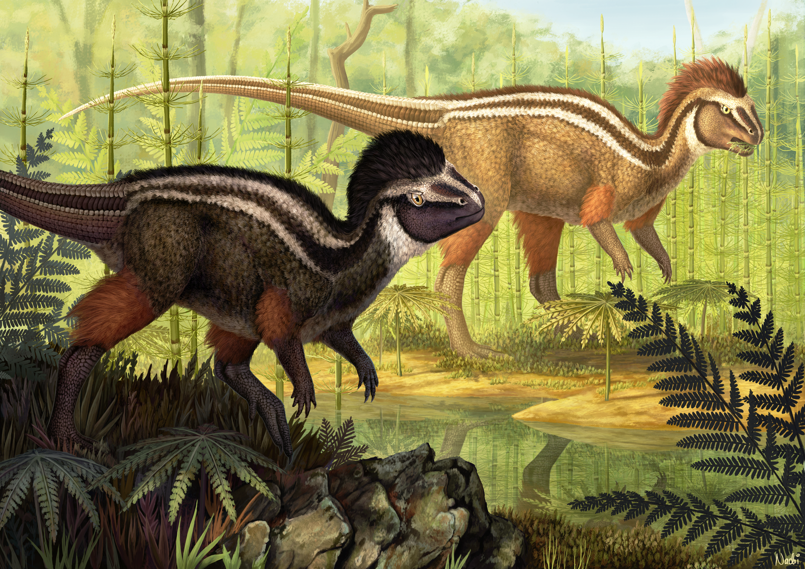 Feathering of dinosaurs. - My, Paleontology, Dinosaurs, Feathers, Longpost