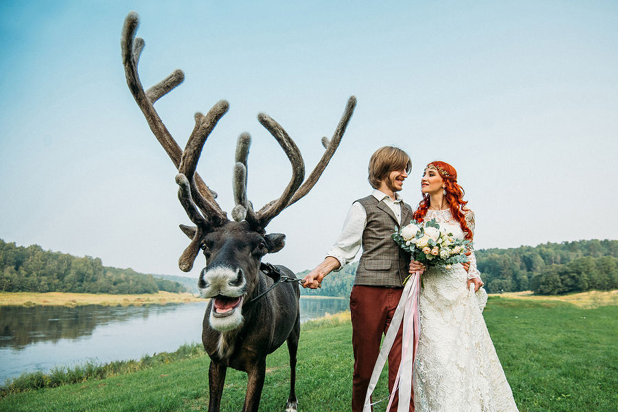 Carry me, deer. - The photo, Wedding, Deer, , Deer