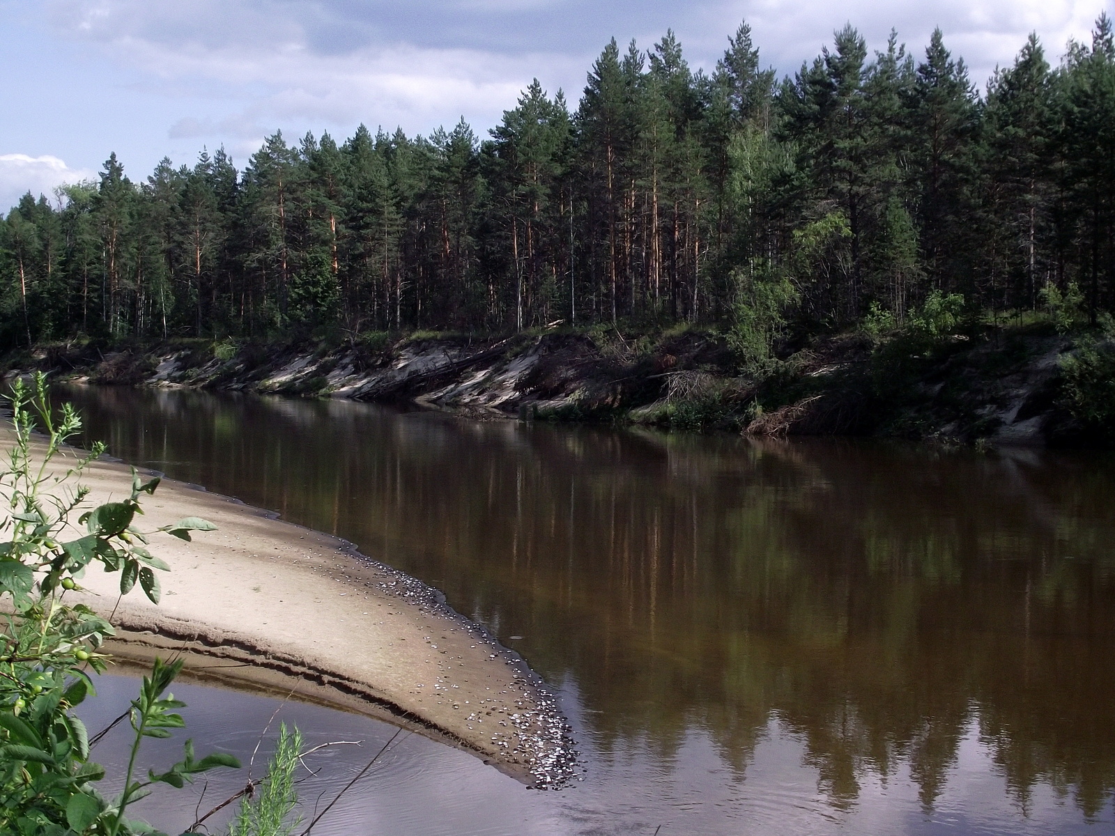 Toothless Cemetery - My, Nature, Travels, , Forest, River, Alloy, Longpost