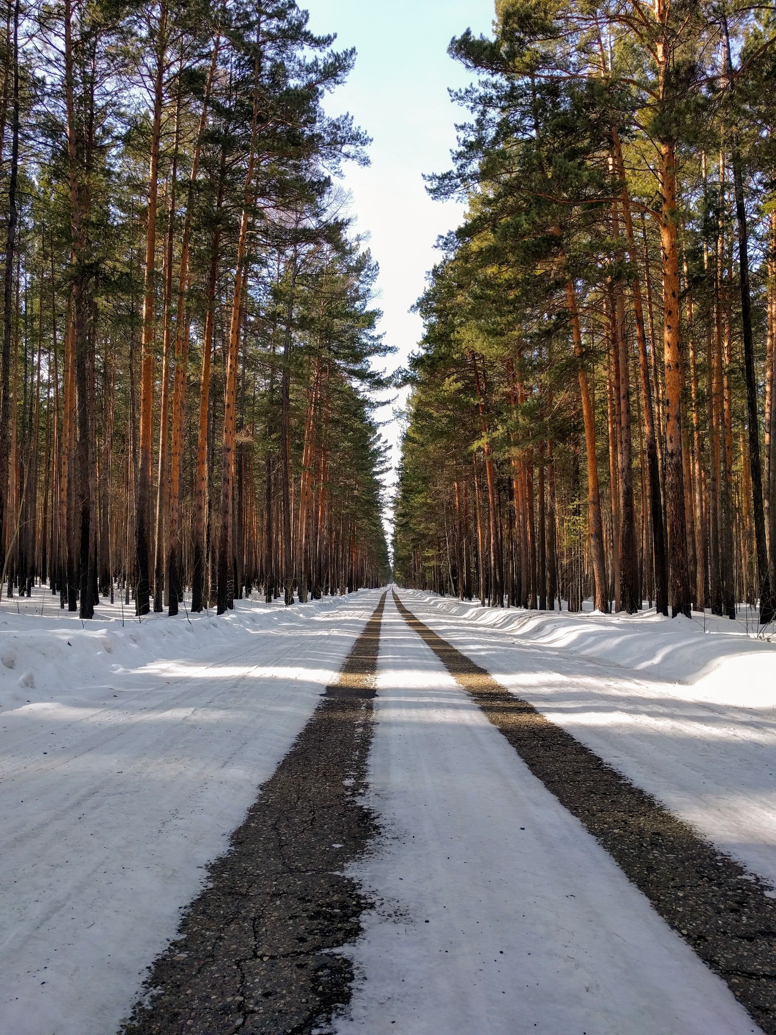 Forest Road - My, Nexus5x, Forest, Nature