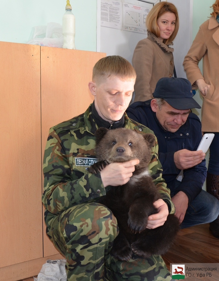 В озеленительном хозяйстве Уфы выкармливают четверых медвежат - Медведи, Уфа, Башкортостан, Длиннопост