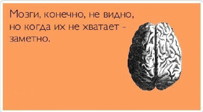 Является ли жир предпочтительным источником энергии? - Моё, Спорт, Питание, Тренировка, Тренер, Программа тренировок, Бжу, Энергия, Глюкоза