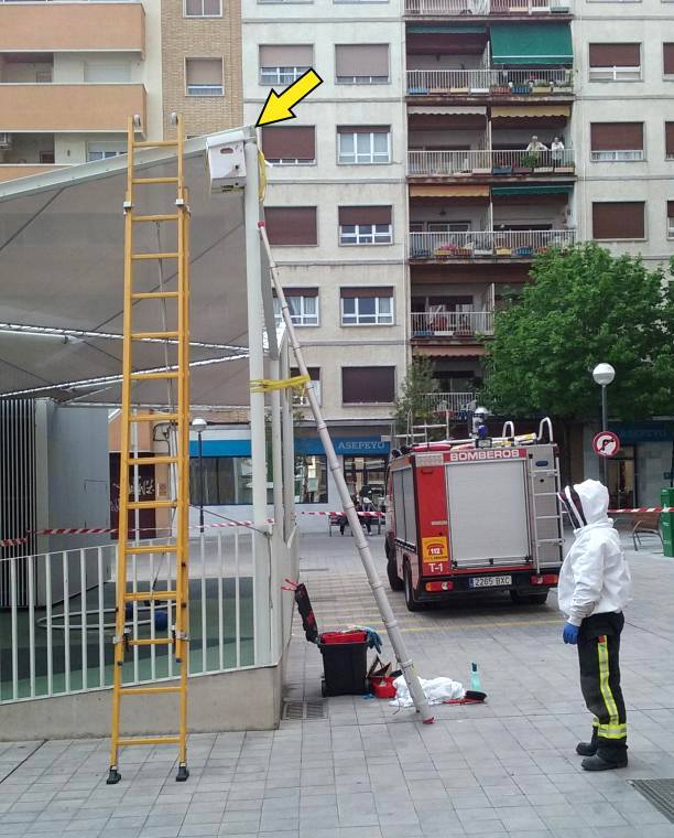 Everyday life of firefighters in a small Spanish town - My, Firefighters, Spain, The rescue, Owl, Otter, Bees, A life, Longpost