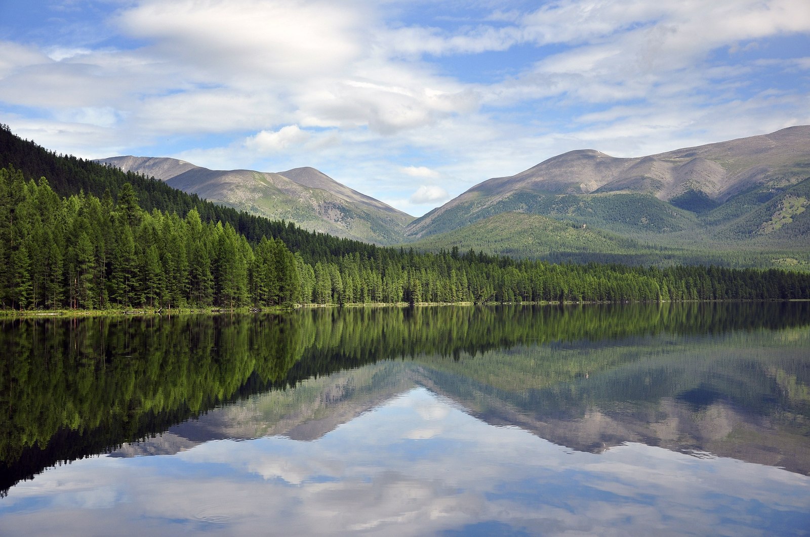 Western Sayans - , , Khakassia, Russia, The photo, Greenery, Landscape, Gotta go, Longpost