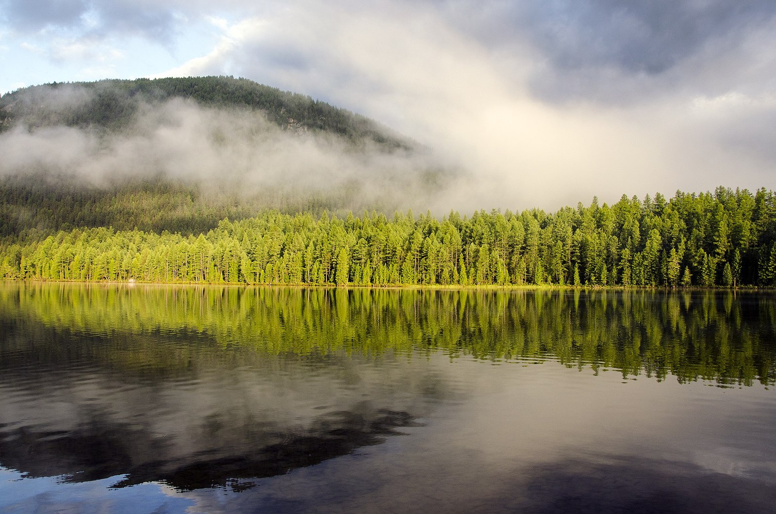 Western Sayans - , , Khakassia, Russia, The photo, Greenery, Landscape, Gotta go, Longpost