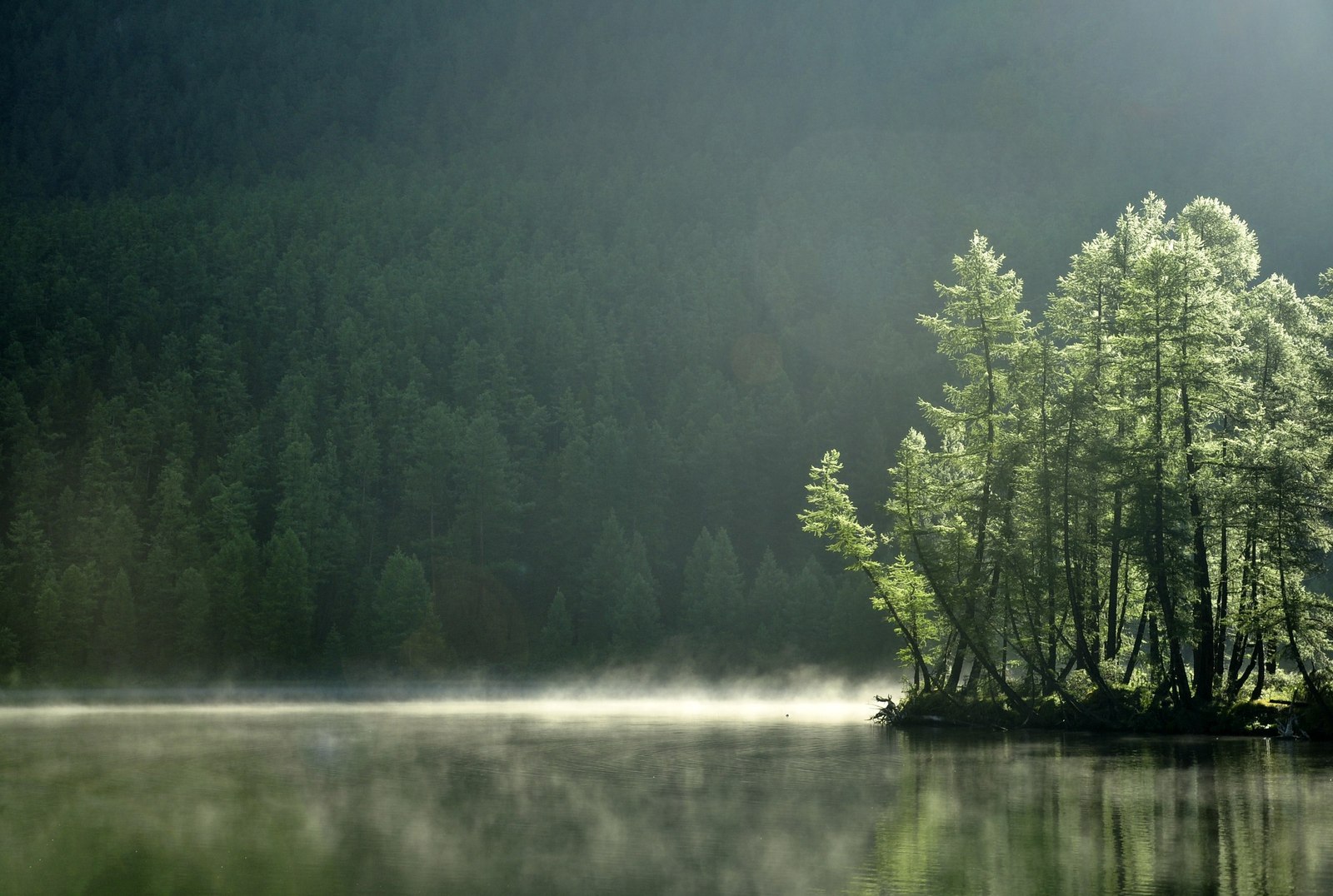 Western Sayans - , , Khakassia, Russia, The photo, Greenery, Landscape, Gotta go, Longpost