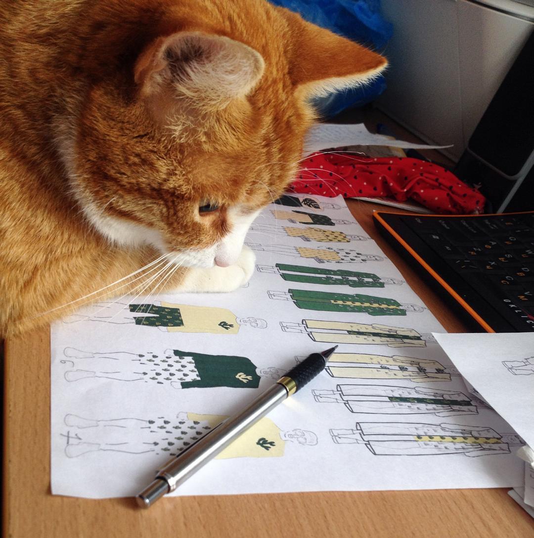 My feline assistant and how Benjamin controlled the process of writing a diploma - My, cat, Milota, friendship, , Diploma, Longpost