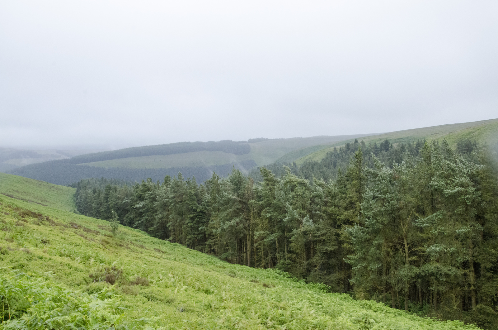 Trekking in the Peak District, UK - My, Hike, Great Britain, Western, Yorkshire, Nature, Forest, Lake, Tourism, Longpost