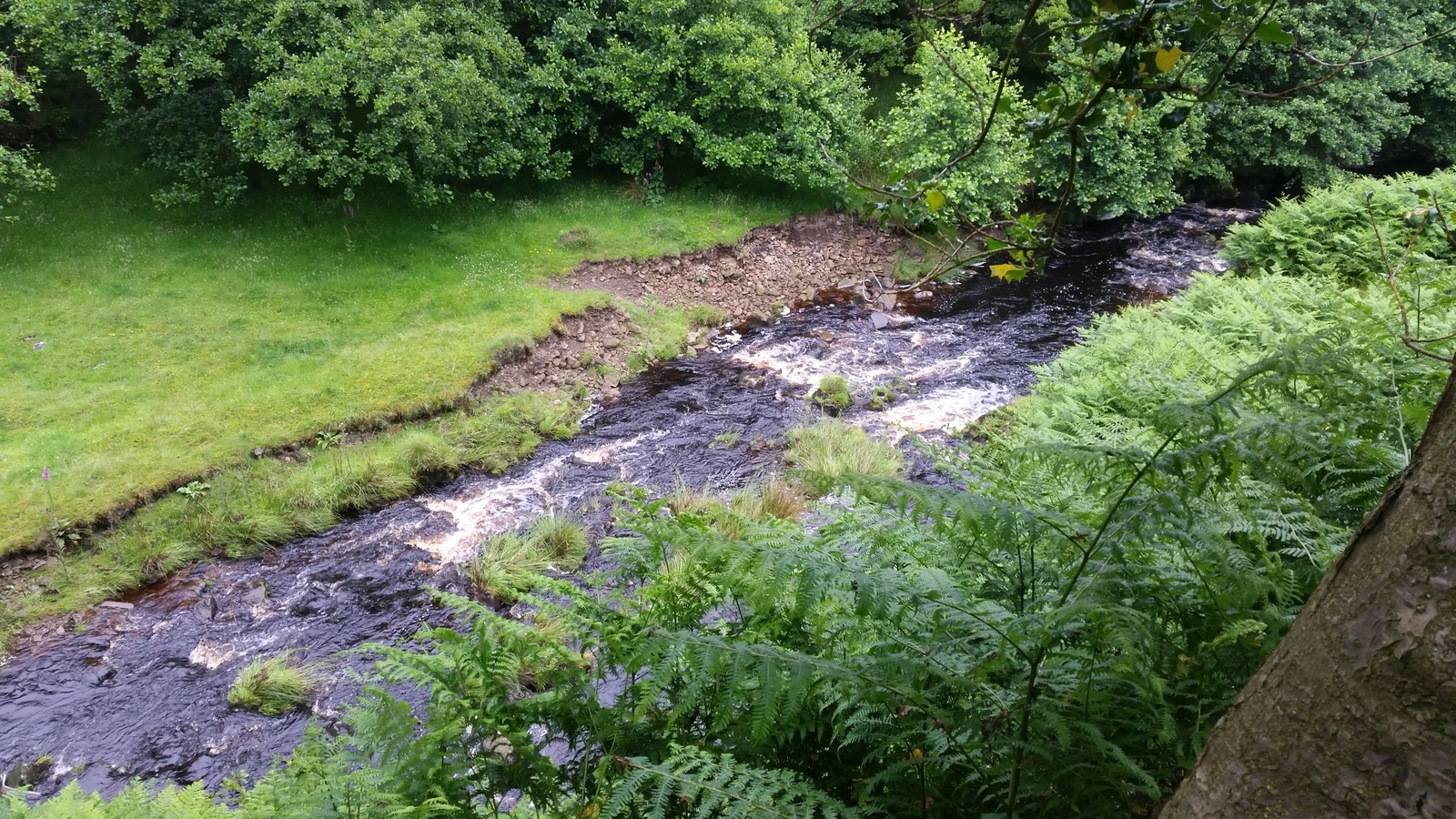 Trekking in the Peak District, UK - My, Hike, Great Britain, Western, Yorkshire, Nature, Forest, Lake, Tourism, Longpost