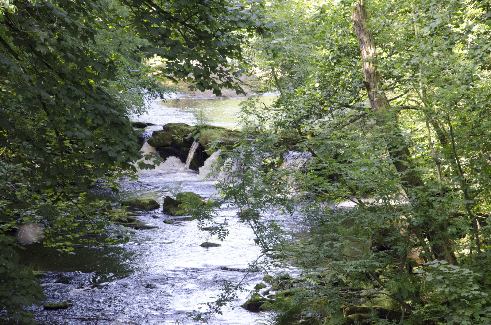 Trekking in the Peak District, UK - My, Hike, Great Britain, Western, Yorkshire, Nature, Forest, Lake, Tourism, Longpost