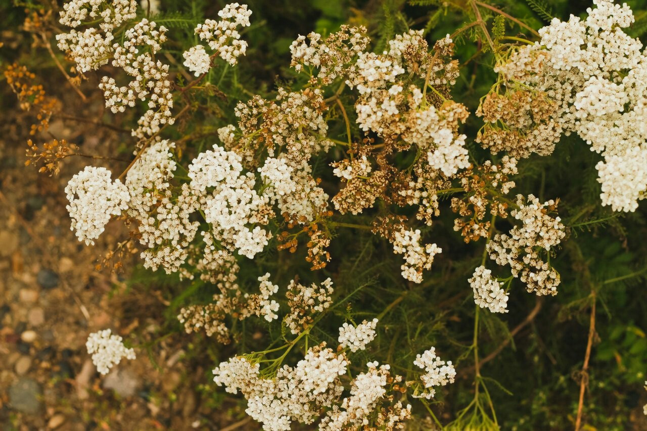 Mariinsky Posad. - My, Chuvashia, Russia, Nature, The photo, Longpost