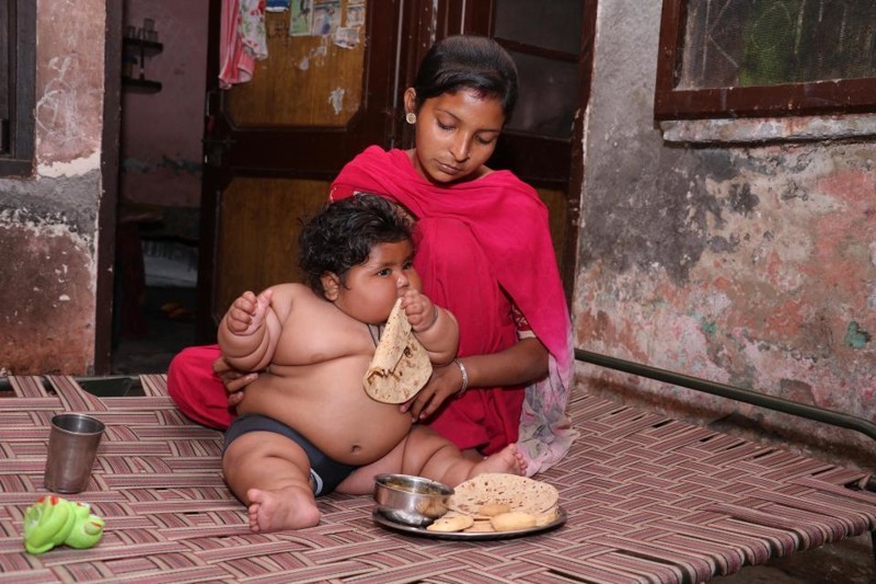 8-month-old girl weighs 17 kilograms, and continues to get fat - Children, Parents, Fatty, Excess weight, Upbringing, India, Girl, Food, Longpost