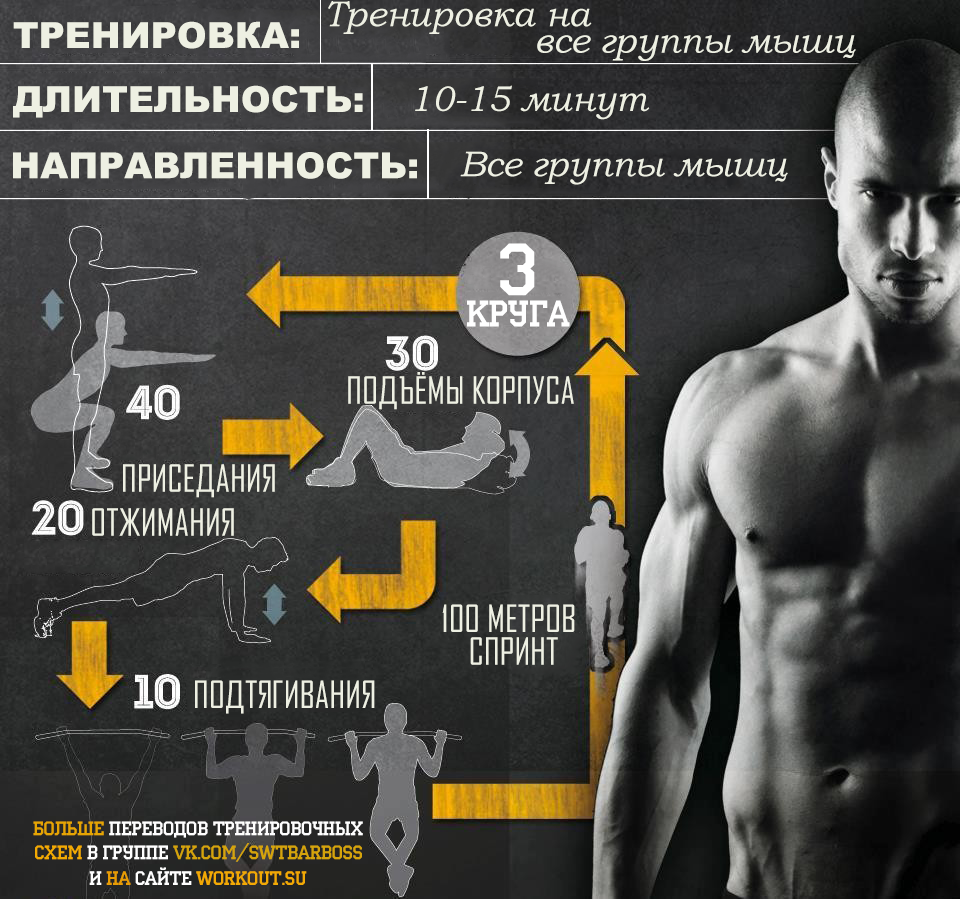 Переводы тренировочных программ от Tribe Sports - Физкультура, Перевод, Тренировка, Streetworkout, Воркаут, Calisthenics, Длиннопост, Tribesports