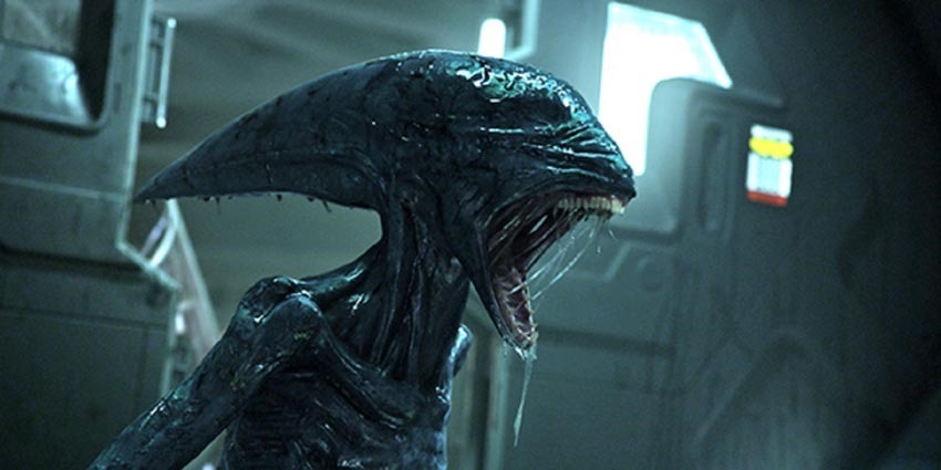 Alien evolution? - Xenomorph, Stranger, Evolution, Theory, Longpost