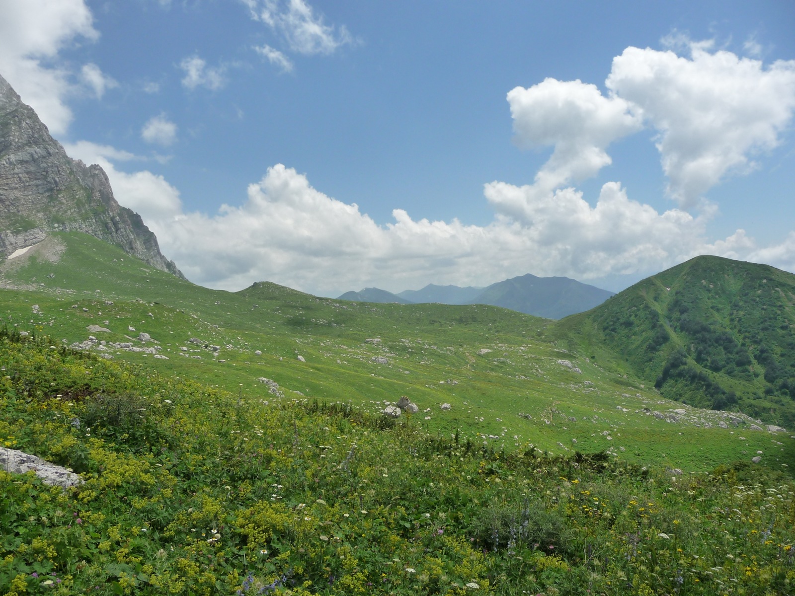 As promised, the surroundings of the foot of Mount Fisht. - My, , cat, , Longpost, Sochi, Tourism, Hike, Nature