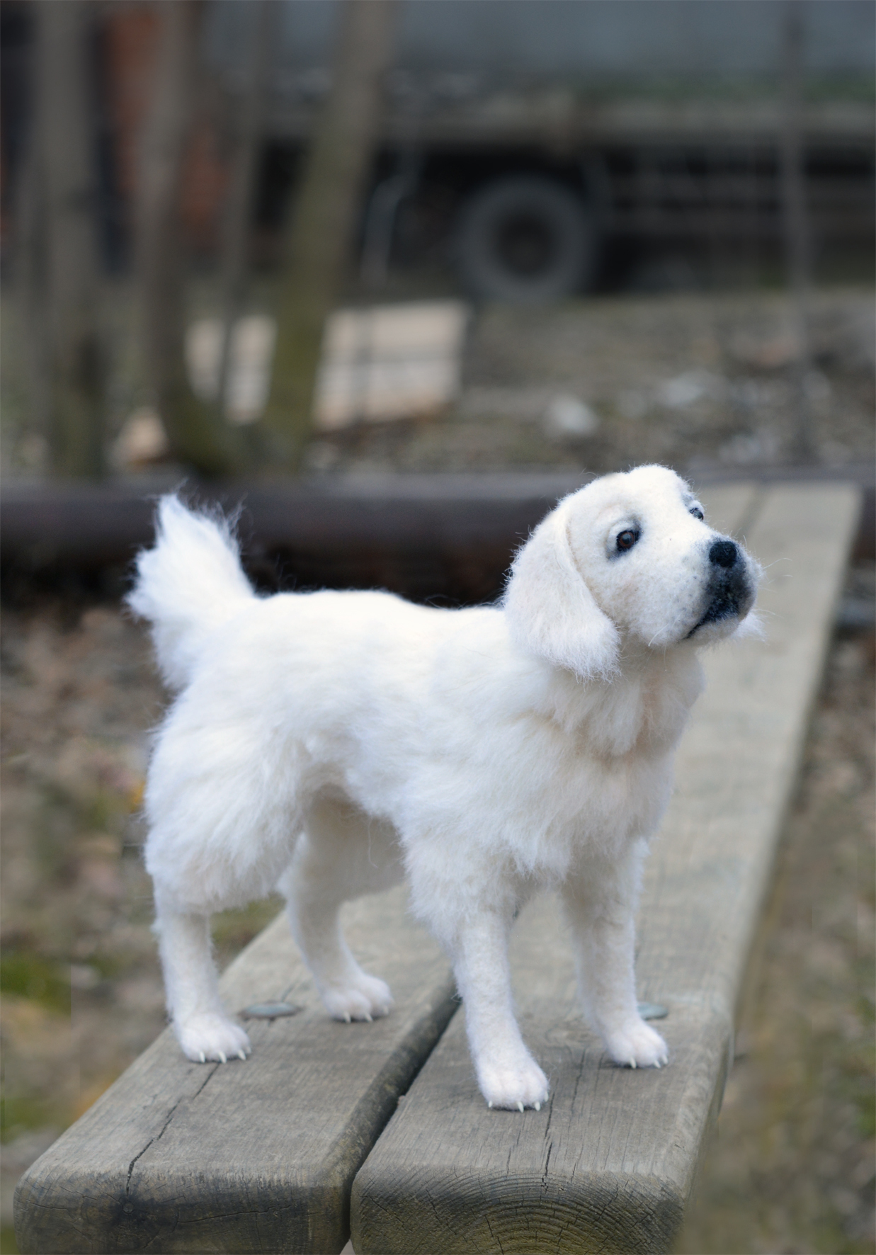 Wool Retriever - My, Retriever, Dog, Wool, Felt, Wallow, Needlework, Wool toy, Needlework without process, Longpost