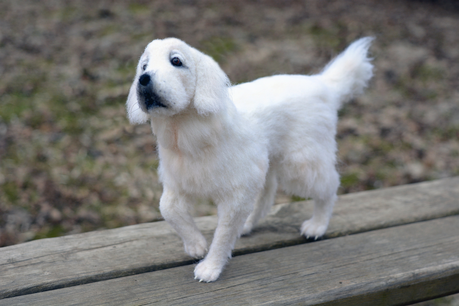 Wool Retriever - My, Retriever, Dog, Wool, Felt, Wallow, Needlework, Wool toy, Needlework without process, Longpost