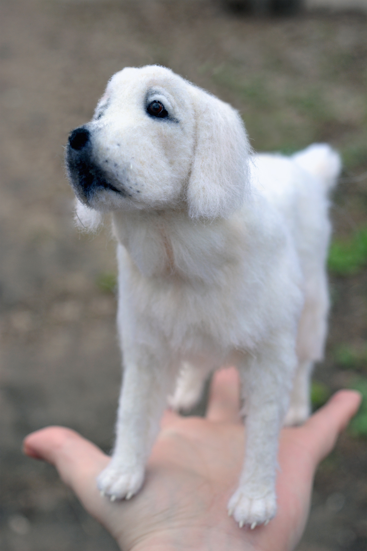 Wool Retriever - My, Retriever, Dog, Wool, Felt, Wallow, Needlework, Wool toy, Needlework without process, Longpost