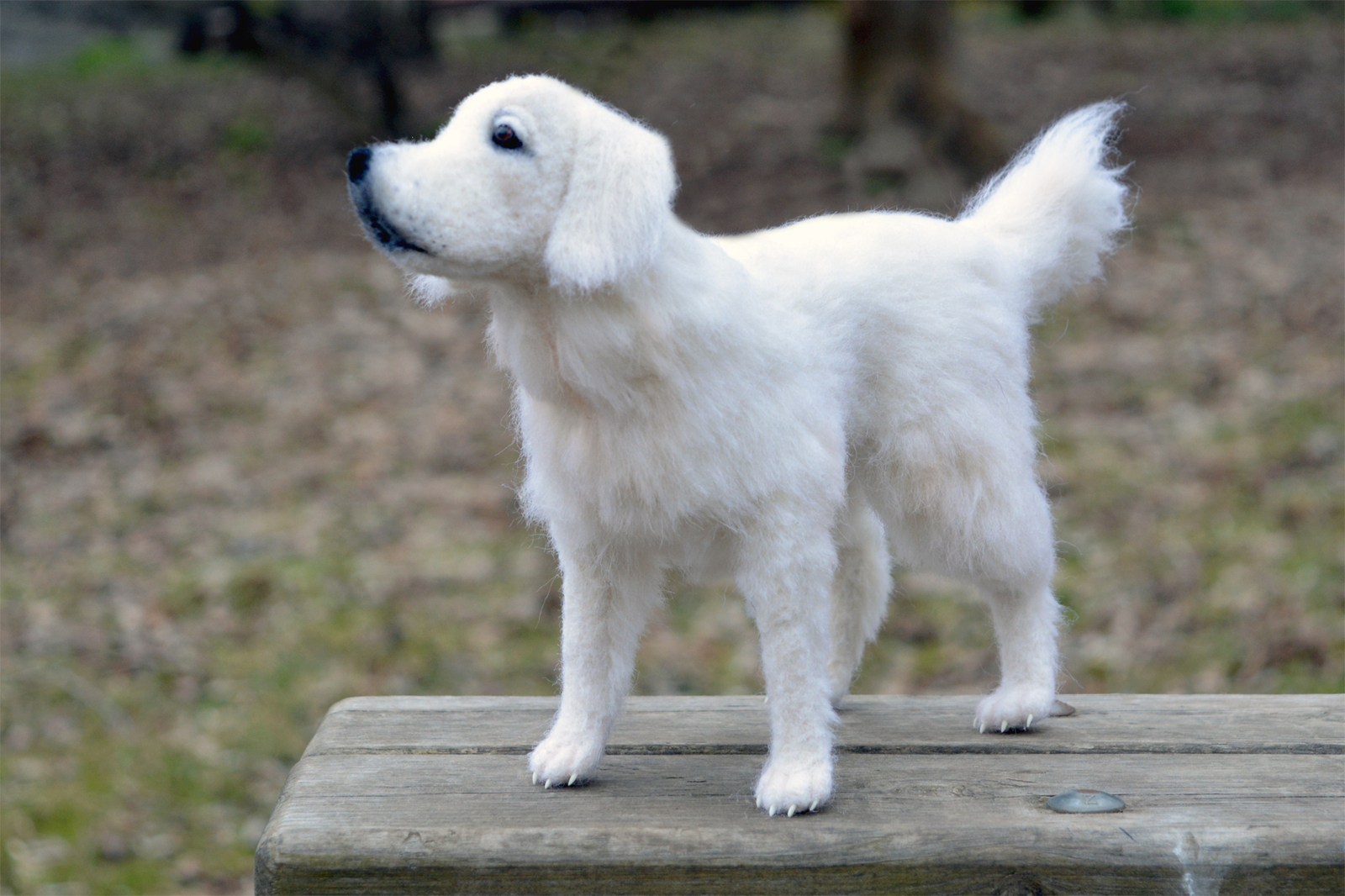 Wool Retriever - My, Retriever, Dog, Wool, Felt, Wallow, Needlework, Wool toy, Needlework without process, Longpost