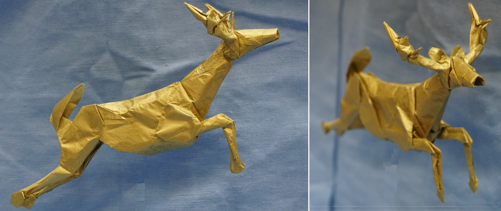 Deer by Seth Friedman. Tissue 50x50 cm. - Origami, Deer, Scheme, , My, Video, Longpost, Deer