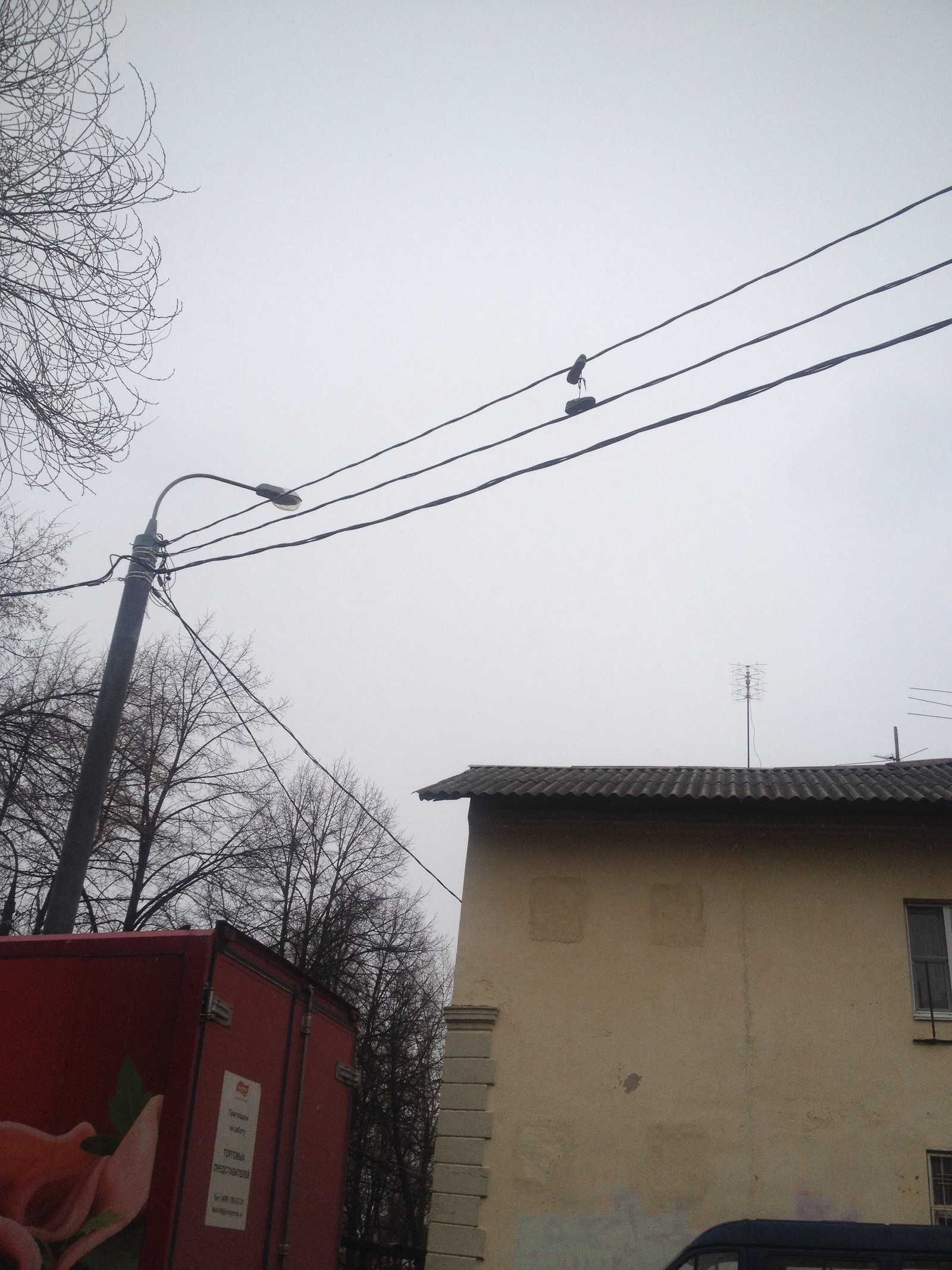 I'm walking along the path and suddenly .... On the wires - How?, So, Longpost, Tag