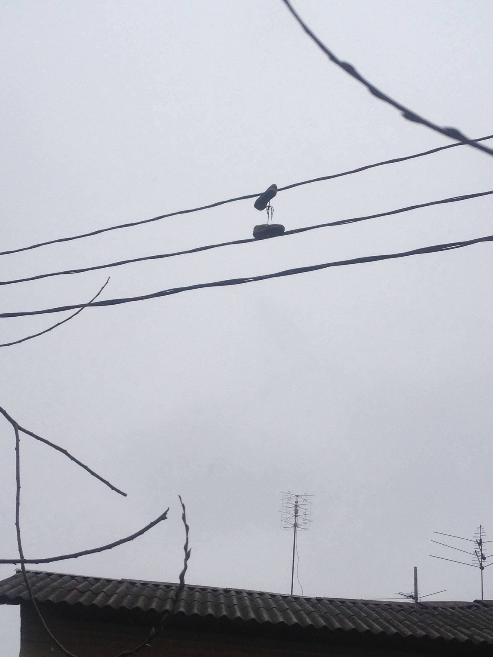 I'm walking along the path and suddenly .... On the wires - How?, So, Longpost, Tag