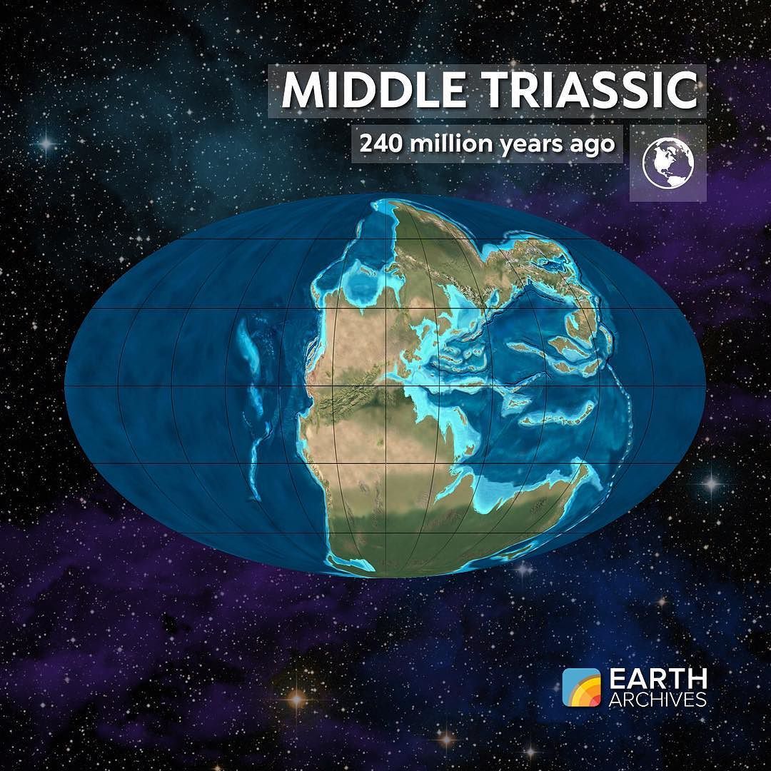 What the Earth looked like 250 million years ago - My, Paleontology, Paleobotany, , Triassic period, Longpost