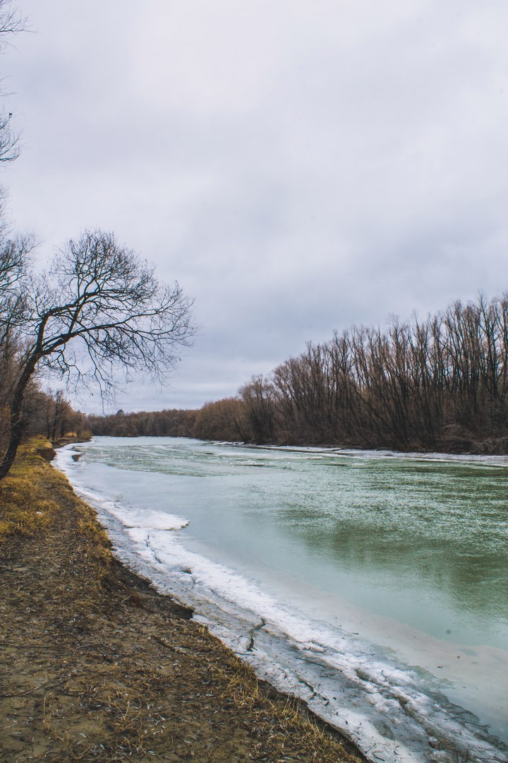 Утро в лесу - Моё, Canon, Canon 1000d, Фотография, Природа, Весна, Лес, Длиннопост