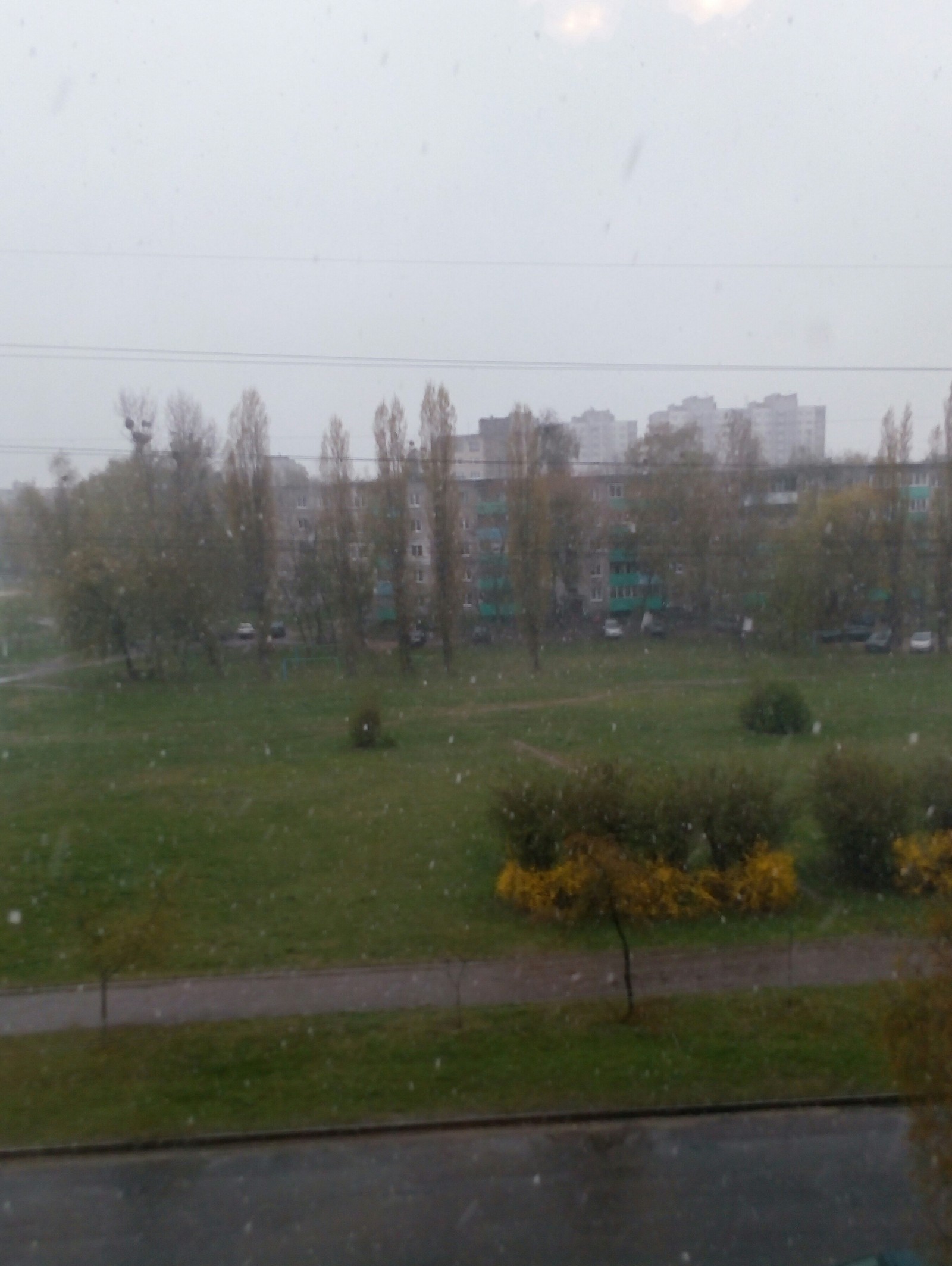 16 April. Belarus. Snow. - April, , The photo, Go home