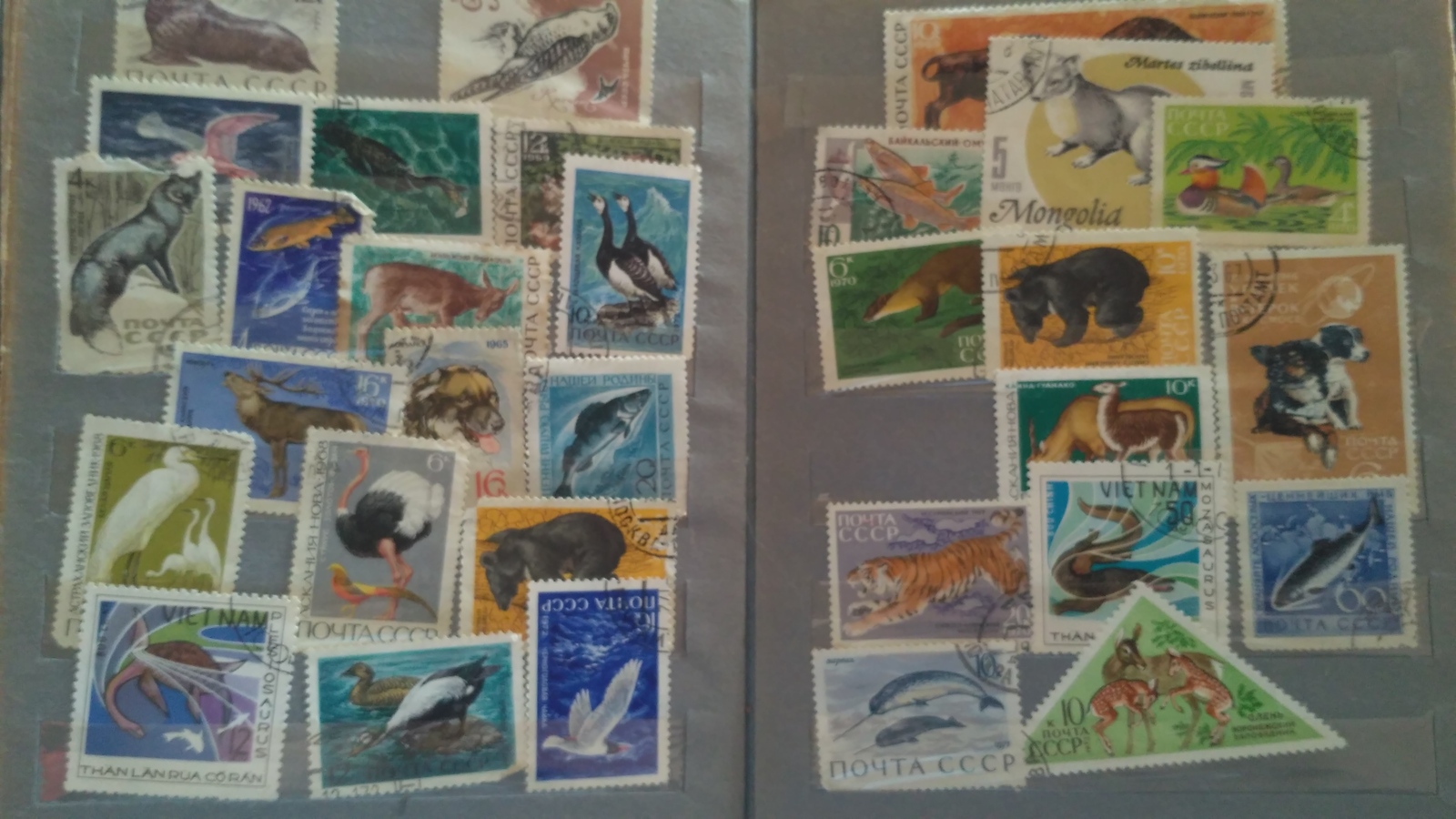 Ps boy! - My, Philately, Stamps, Collecting, Longpost