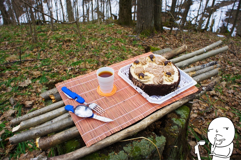 Picnic by the road. - My, My, Traditions, Picnic, Report, Forest, cat, Longpost