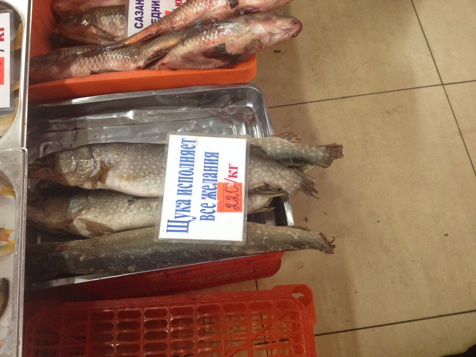 Witen Chita Market - My, Pike, Chita, 