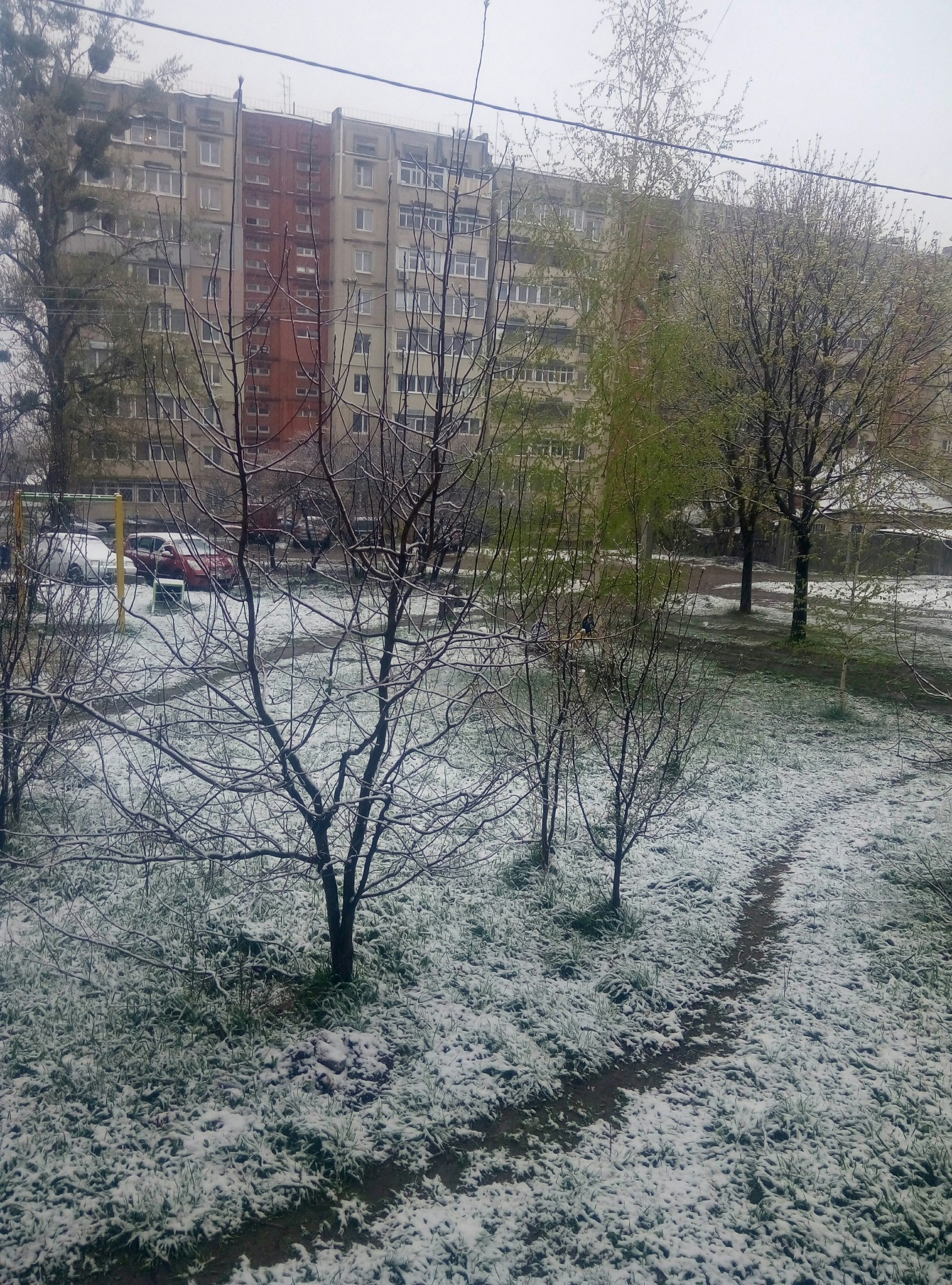 This is the weather. Kharkov April 18th. - My, Weather, Good weather, Longpost