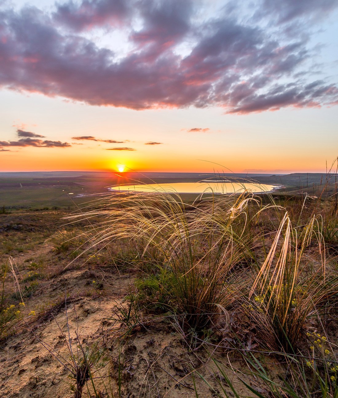 Salty Lake - Stavropol region, Russia, Lake, Landscape, Summer, Nature, The photo, Gotta go, Longpost