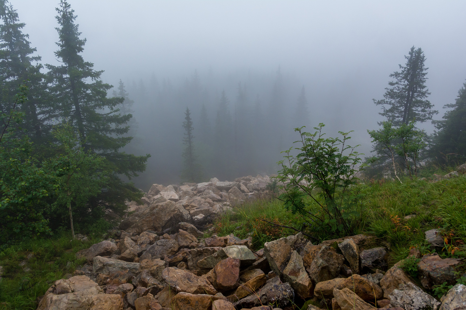 Zyuratkul. Monument of Nature - My, Zyuratkul, Nature, Hike, Natural monument, Reserves and sanctuaries, Fog, Landscape, The mountains