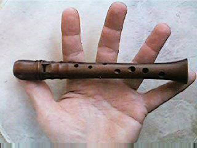 Block flute - My, , Recorder, Story, Musical instruments, , Longpost