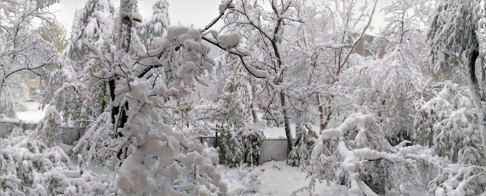 Chisinau 21 April - My, Spring, Cataclysm