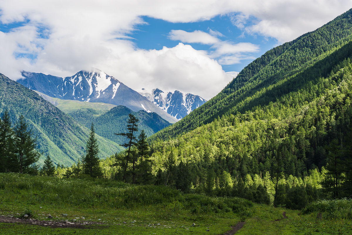 В гости к Белухе, часть 2 - Моё, Природа России, Туризм, Путешествия, Алтай, Горный Алтай, Длиннопост, Фотография, Текст, Республика Алтай