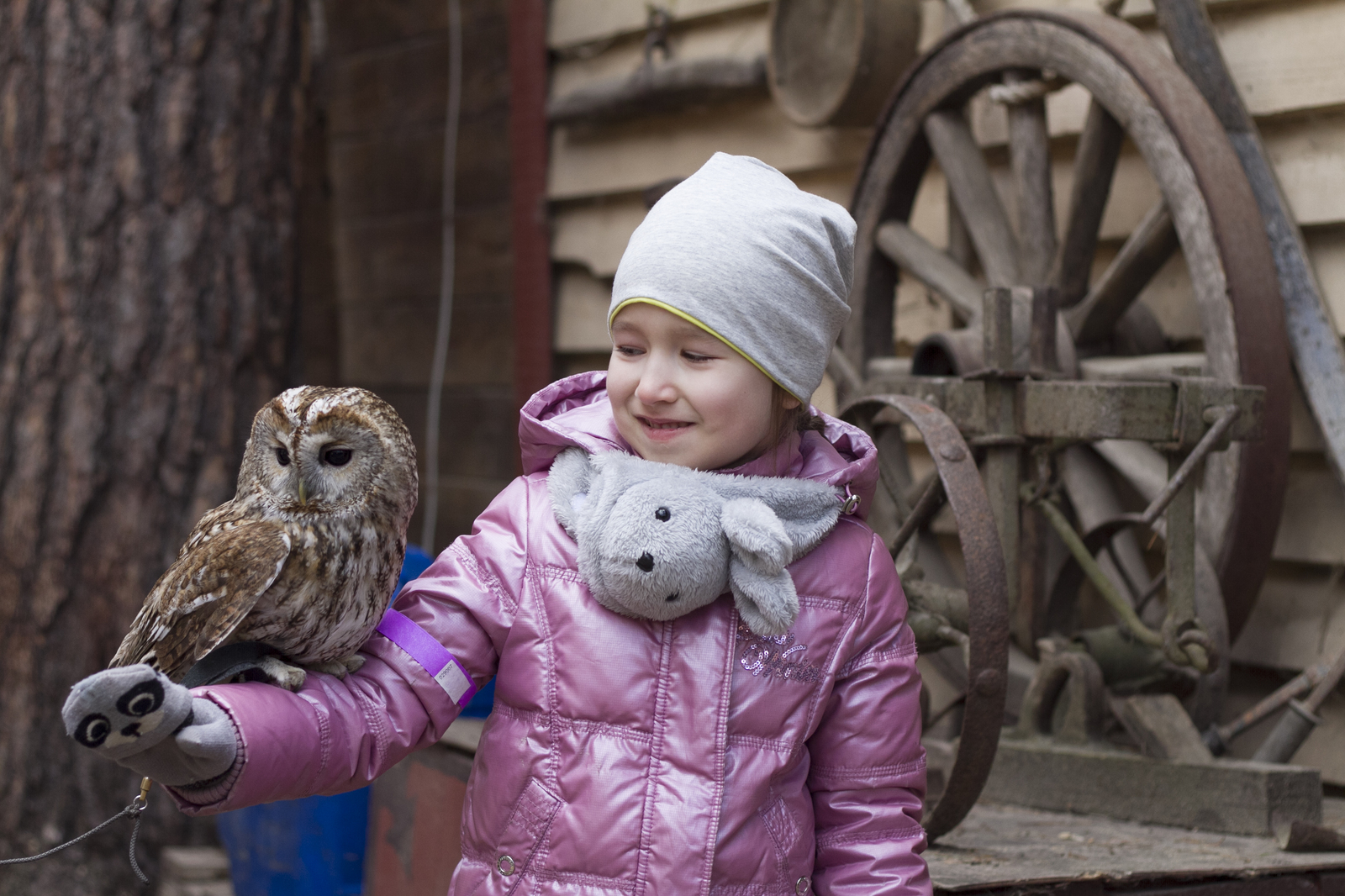 Live communication with real wolves. wolf house - My, , Longpost, , The photo, Nature, Animals