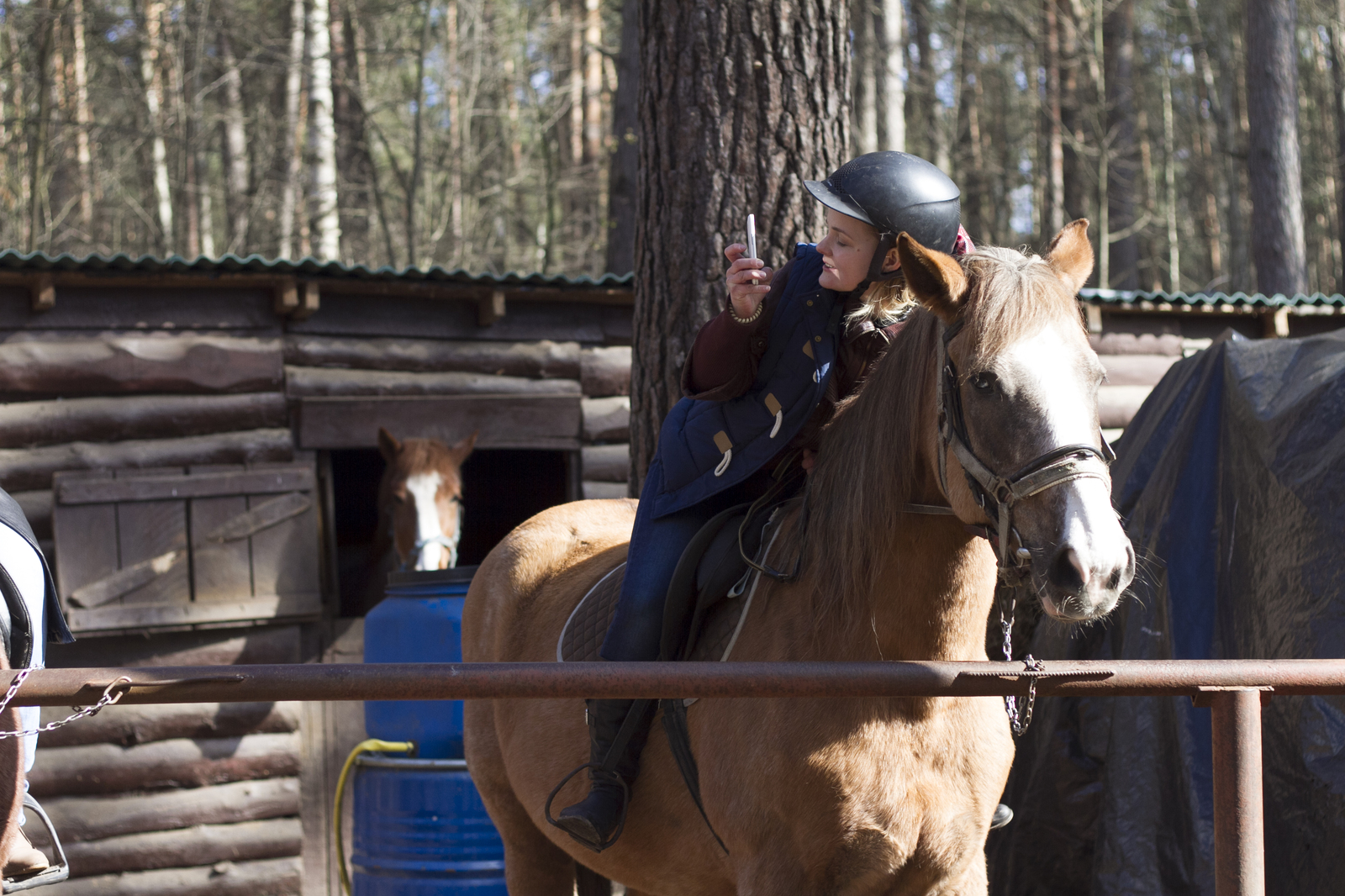 Live communication with real wolves. wolf house - My, , Longpost, , The photo, Nature, Animals