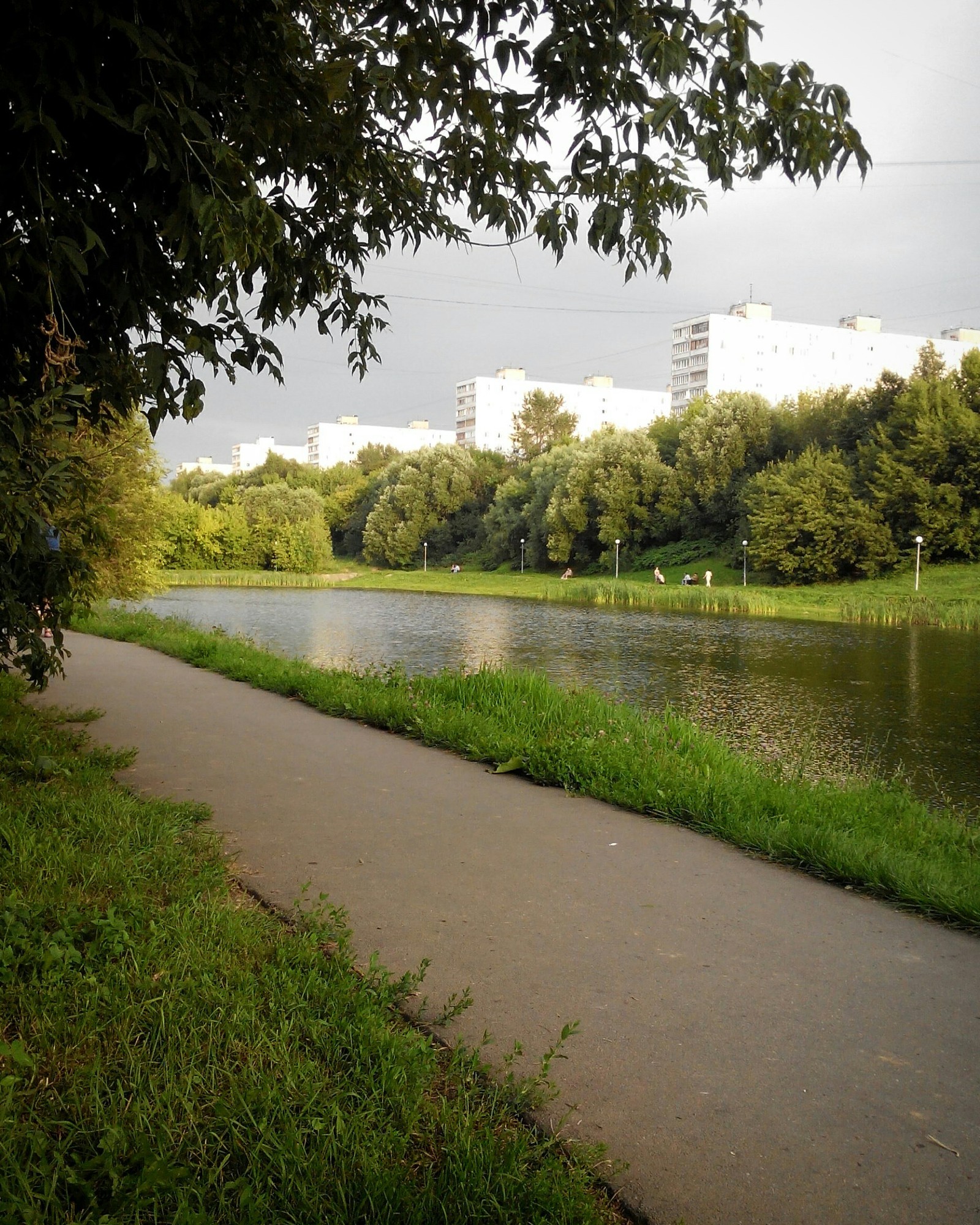 Ponds - My, The photo, Summer, Hobby, Nature