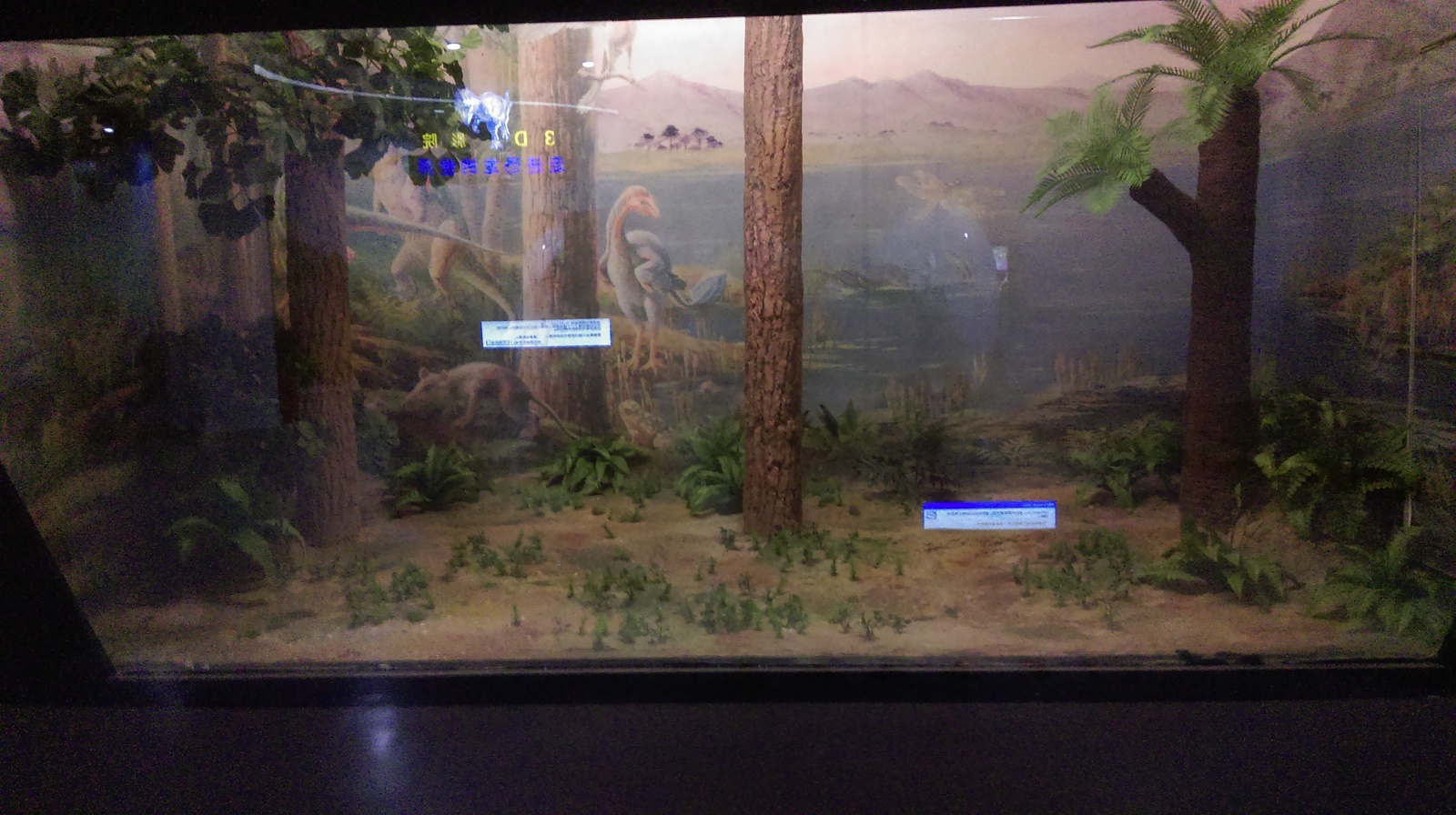 I decided to look at the dinosaurs, and then ... - My, China, Museum, Dinosaurs, Window