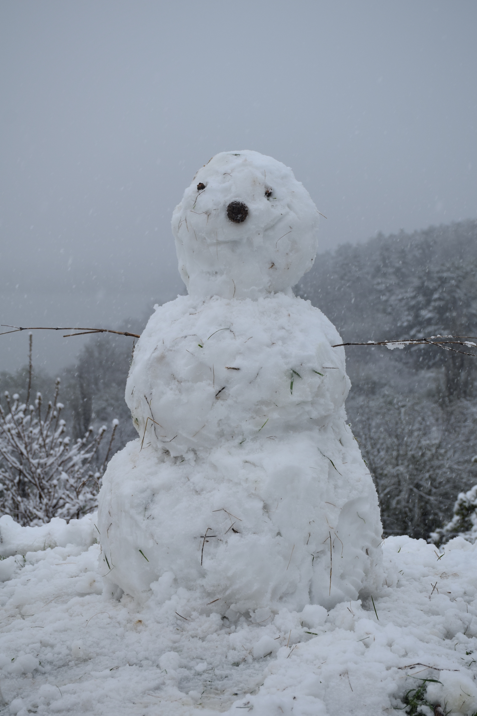 ...about the weather in Crimea today - My, Crimea, Spring, Weather, Cataclysm, Snow, I'm shocked, Longpost, Shock