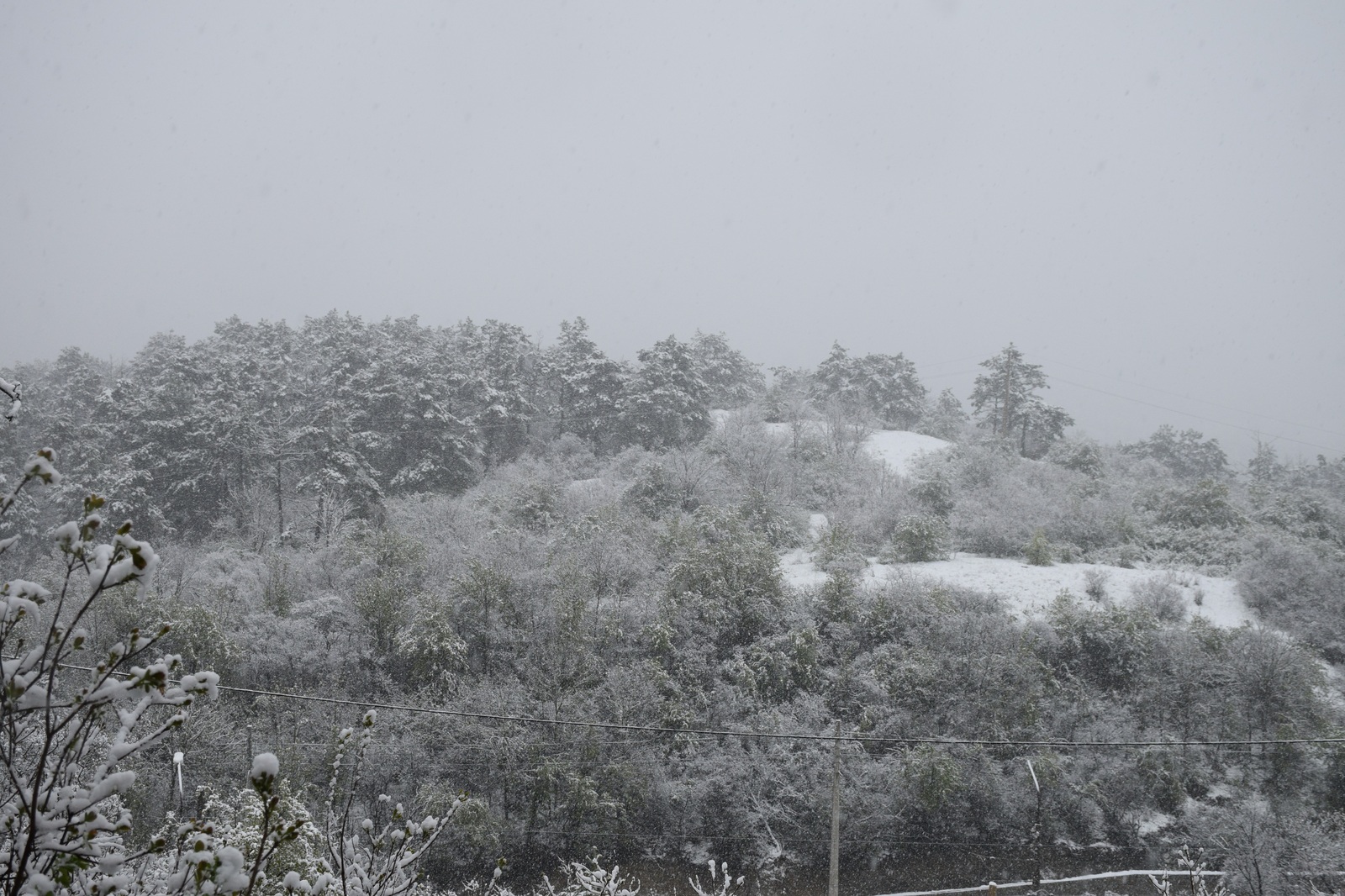 ...about the weather in Crimea today - My, Crimea, Spring, Weather, Cataclysm, Snow, I'm shocked, Longpost, Shock