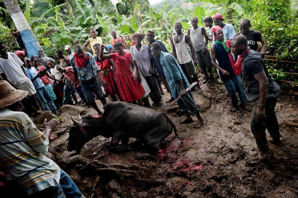 Dangerous life in Haiti, surrounded by poverty, banditry and voodoo - Longpost, Images, A life, Haiti, Voodoo People, 2003, Year, Under the cut more