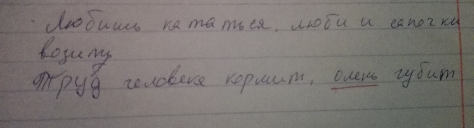 Прислала коллега, диктовали пословицы. - Моё, Труд, Олень, Русский язык, Школа, Олени