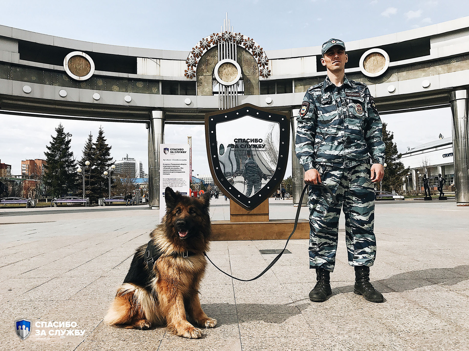 Тюменской овчарке Киме вручили премию «Спасибо за службу» - Собака, Награда, Преступление, Полиция, Длиннопост