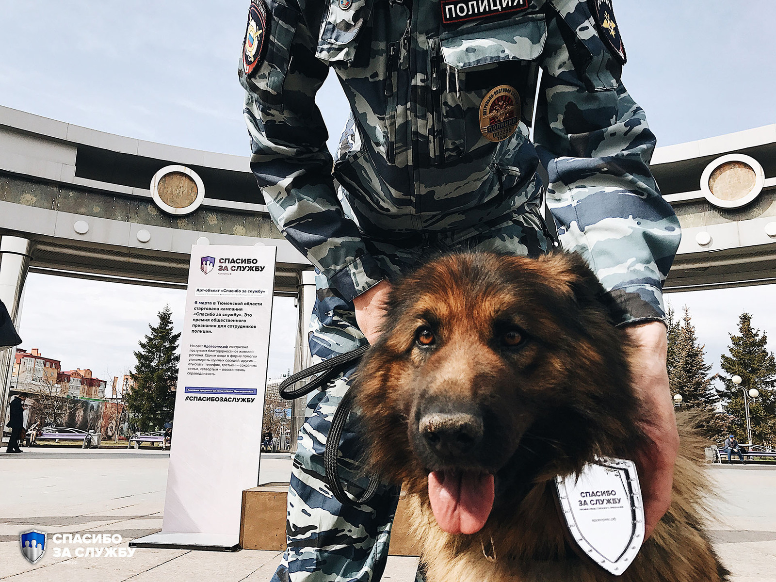 Tyumen shepherd dog Kima was awarded the Thank you for your service award - Dog, Reward, The crime, Police, Longpost