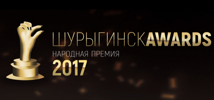 Shuryginsk Awards launched in Ulyanovsk - Ulyanovsk, Diana Shurygina, Vote