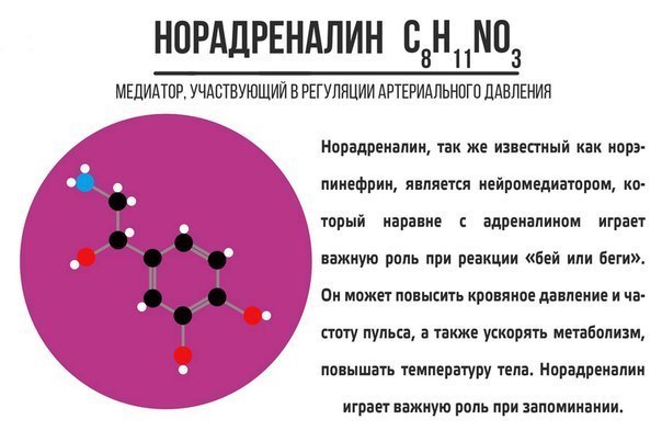 Neurotransmitters for everyone - The medicine, Biochemistry, Pharmacology, Neurotransmitters, Images, Longpost